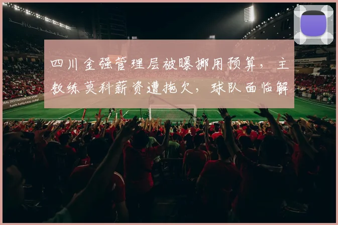 四川金强管理层被曝挪用预算，主教练莫科薪资遭拖欠，球队面临解散危机